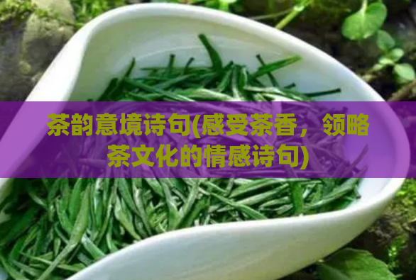 茶韵意境诗句(感受茶香,领略茶文化的情感诗句)