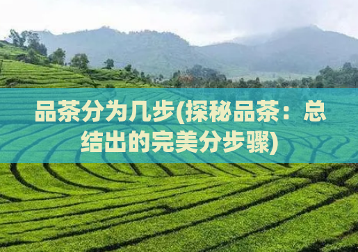 品茶分为几步(探秘品茶:总结出的完美分步骤)
