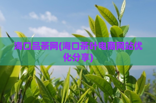 海口品茶网(海口茶叶电商网站优化分享)