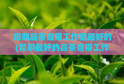 昆明品茶自带工作室最好的(昆明最好的品茶自带工作室)
