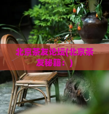 北京茶友论坛(北京茶友秘籍：)