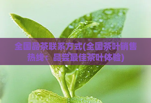 全国品茶联系方式(全国茶叶销售热线:品尝最佳茶叶体验)