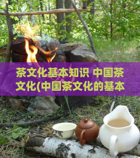茶文化基本知识 中国茶文化(中国茶文化的基本认知)