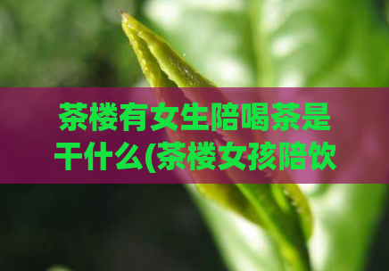 茶楼有女生陪喝茶是干什么(茶楼女孩陪饮，背后的真相是什么？)