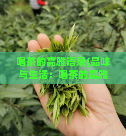 喝茶的高雅语录(品味与生活:喝茶的高雅之道)