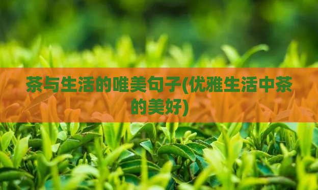 茶与生活的唯美句子(优雅生活中茶的美好)
