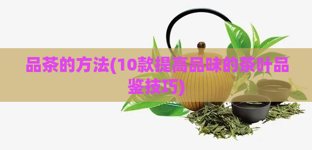 品茶的方法(10款提高品味的茶叶品鉴技巧)