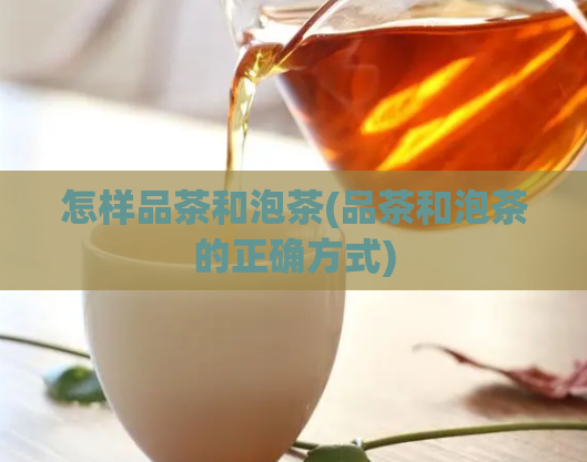 怎样品茶和泡茶(品茶和泡茶的正确方式)