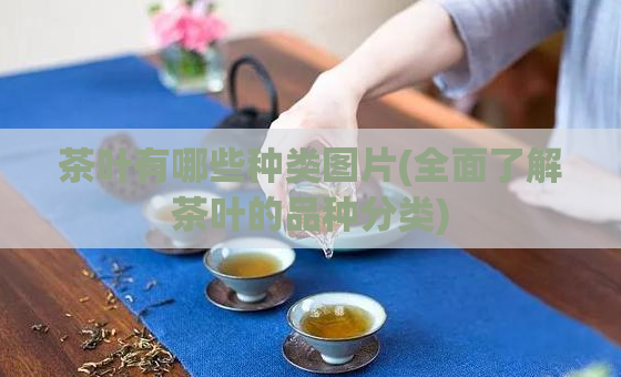 茶叶有哪些种类图片(全面了解茶叶的品种分类)
