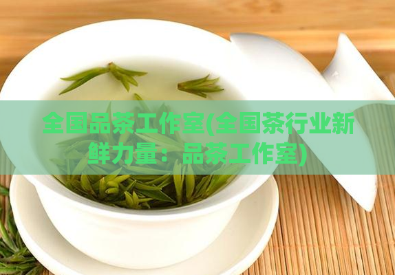 全国品茶工作室(全国茶行业新鲜力量：品茶工作室)