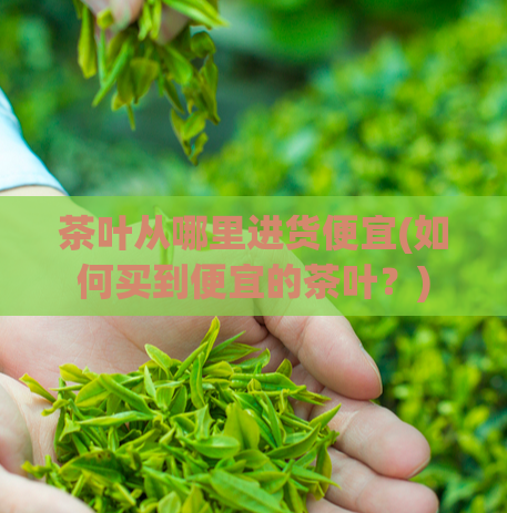 茶叶从哪里进货便宜(如何买到便宜的茶叶？)