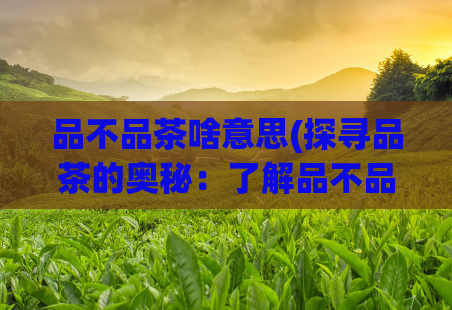 品不品茶啥意思(探寻品茶的奥秘:了解品不品茶的真正含义)