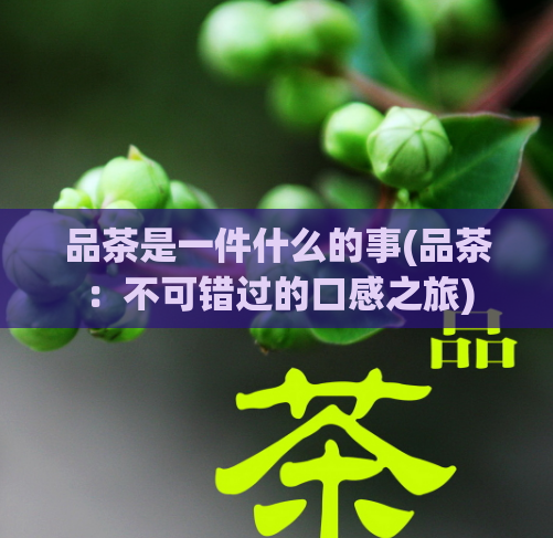 品茶是一件什么的事(品茶：不可错过的口感之旅)