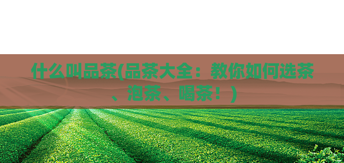 什么叫品茶(品茶大全:教你如何选茶、泡茶、喝茶!)