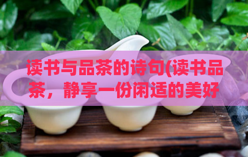 读书与品茶的诗句(读书品茶,静享一份闲适的美好)