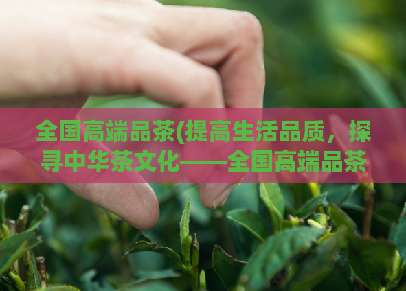 全国高端品茶(提高生活品质,探寻中华茶文化——全国高端品茶推荐)