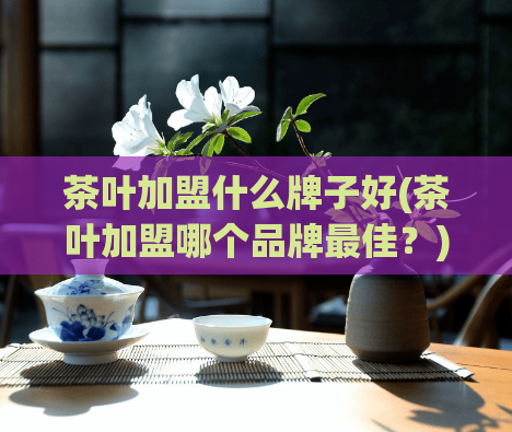 茶叶加盟什么牌子好(茶叶加盟哪个品牌最佳?)