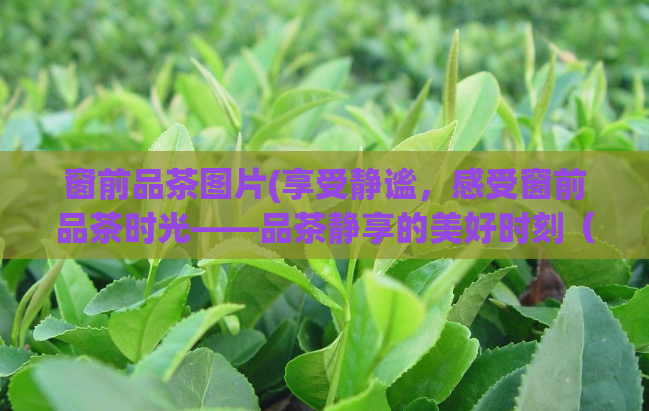 窗前品茶图片(享受静谧，感受窗前品茶时光——品茶静享的美好时刻（47字）)