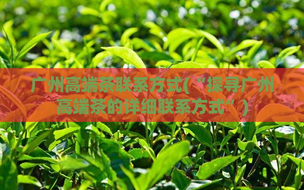 广州高端茶联系方式(“探寻广州高端茶的详细联系方式”)