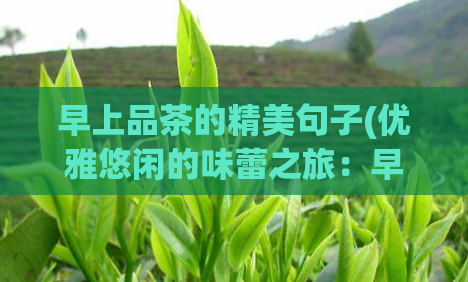 早上品茶的精美句子(优雅悠闲的味蕾之旅:早晨品茶的魅力)