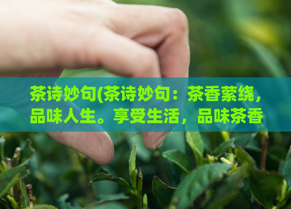 茶诗妙句(茶诗妙句:茶香萦绕,品味人生。享受生活,品味茶香。)