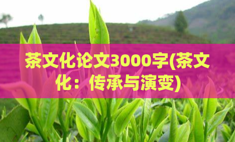 茶文化论文3000字(茶文化：传承与演变)