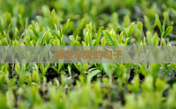喝茶享受的句子