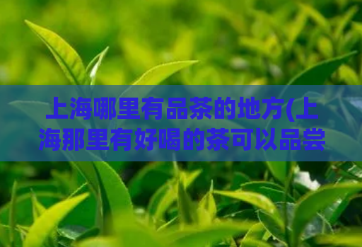 上海哪里有品茶的地方(上海那里有好喝的茶可以品尝?)
