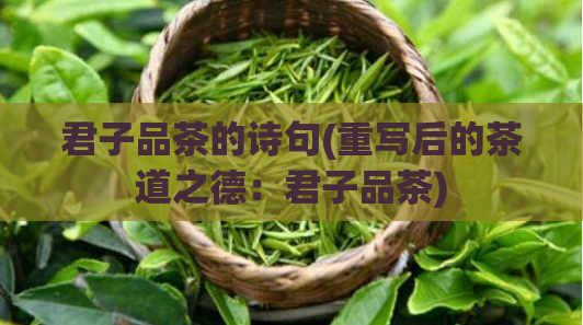 君子品茶的诗句(重写后的茶道之德：君子品茶)