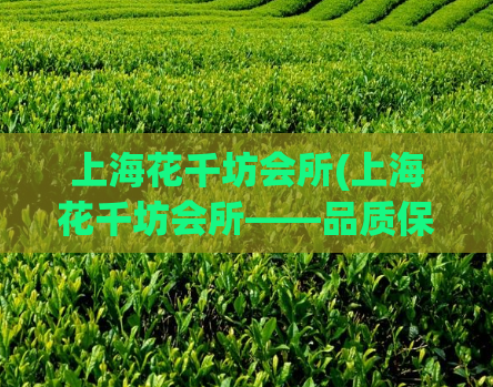 上海花千坊会所(上海花千坊会所——品质保障,让你享受不一样的SPA体验)