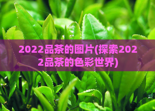 2022品茶的图片(探索2022品茶的色彩世界)
