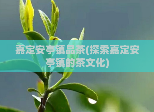 嘉定安亭镇品茶(探索嘉定安亭镇的茶文化)