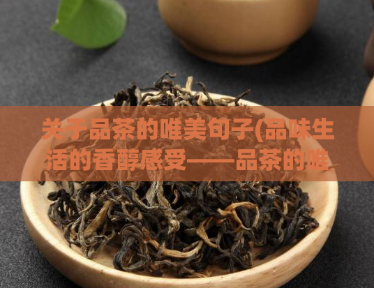关于品茶的唯美句子(品味生活的香醇感受——品茶的唯美体验)