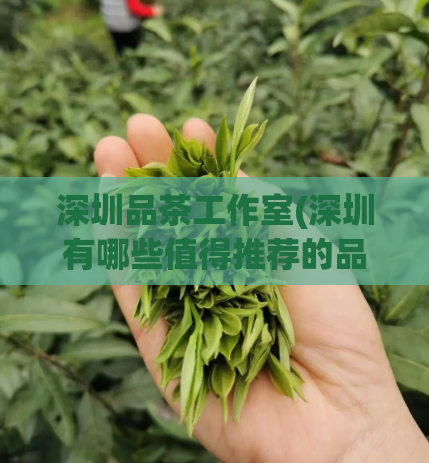 深圳品茶工作室(深圳有哪些值得推荐的品茶工作室？)