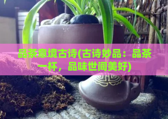 品茶意境古诗(古诗妙品：品茶一杯，品味世间美好)