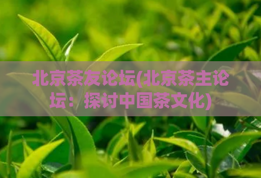 北京茶友论坛(北京茶主论坛:探讨中国茶文化)