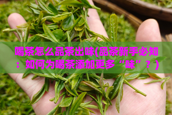 喝茶怎么品茶出味(品茶新手必知:如何为喝茶添加更多“味”?)