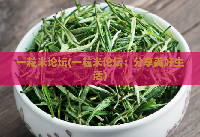 一粒米论坛(一粒米论坛:分享美好生活)