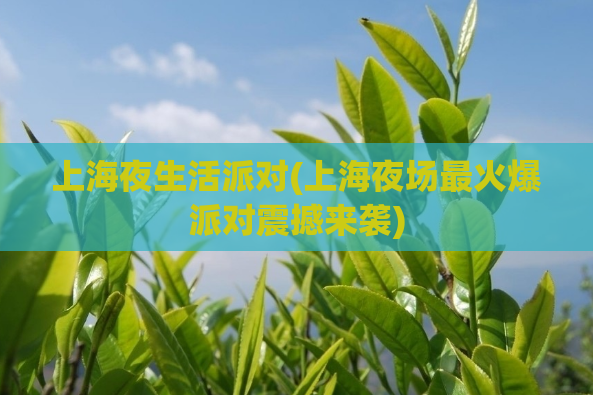 上海夜生活派对(上海夜场最火爆派对震撼来袭)