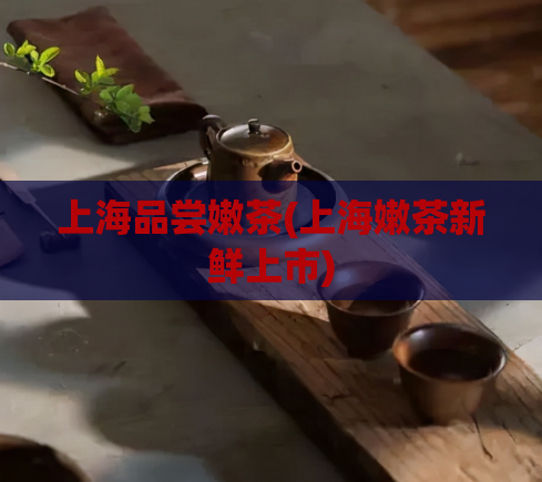 上海品尝嫩茶(上海嫩茶新鲜上市)