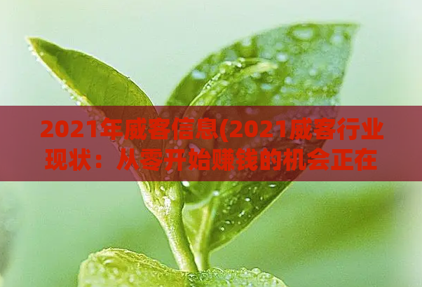 2021年威客信息(2021威客行业现状:从零开始赚钱的机会正在增加。)