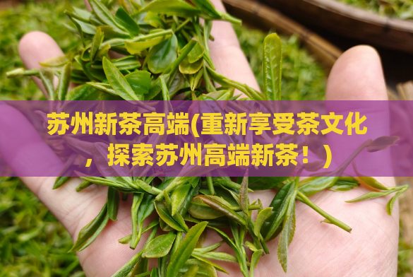苏州新茶高端(重新享受茶文化，探索苏州高端新茶！)