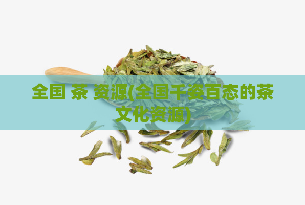 全国 茶 资源(全国千姿百态的茶文化资源)