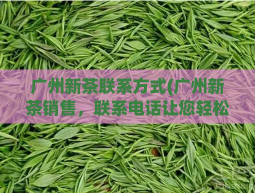 广州新茶联系方式(广州新茶销售，联系电话让您轻松品尝)