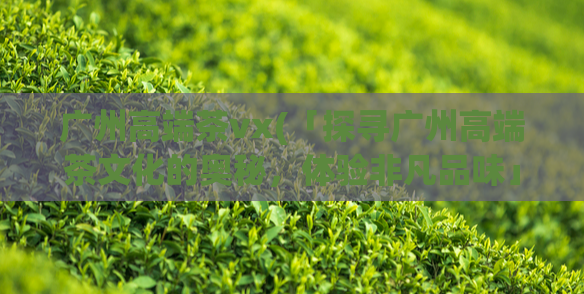 广州高端茶vx(「探寻广州高端茶文化的奥秘,体验非凡品味」)