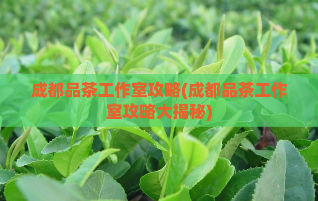 成都品茶工作室攻略(成都品茶工作室攻略大揭秘)