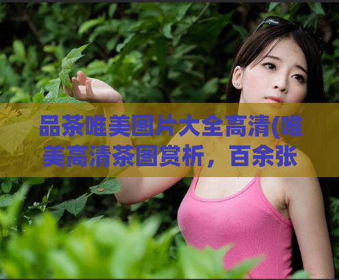 品茶唯美图片大全高清(唯美高清茶图赏析,百余张图片不重样!)