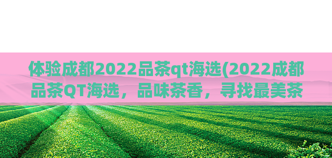 体验成都2022品茶qt海选(2022成都品茶QT海选,品味茶香,寻找最美茶人)