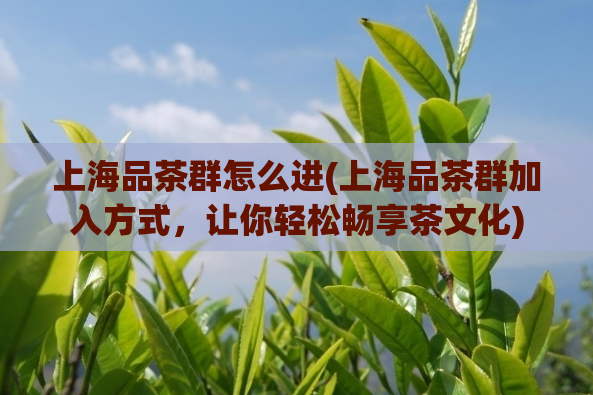 上海品茶群怎么进(上海品茶群加入方式，让你轻松畅享茶文化)