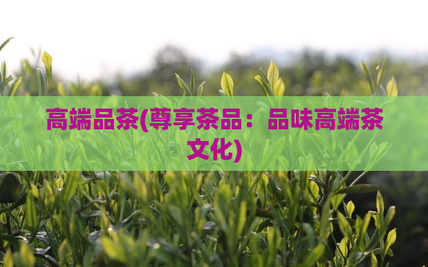 高端品茶(尊享茶品:品味高端茶文化)
